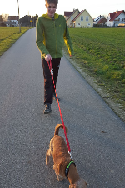 Philip spaziert mit Hund